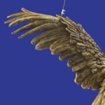 Ceiling Lamp Parrot Percy Gold Bird Lamps