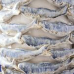 Fish Vase White-Blue Animal Sculpture