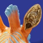 Zebra Zora Wall Lamp Art Sculptures