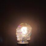 Clear Glass Skull Sculptural Table Lamp Cover