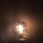 Smoke Gray Glass Skull Art Sculpture Light Cover
