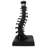 Spine Art Sculpture Table Lamp