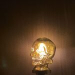 Glass Skull Brass Table Lamp Cover