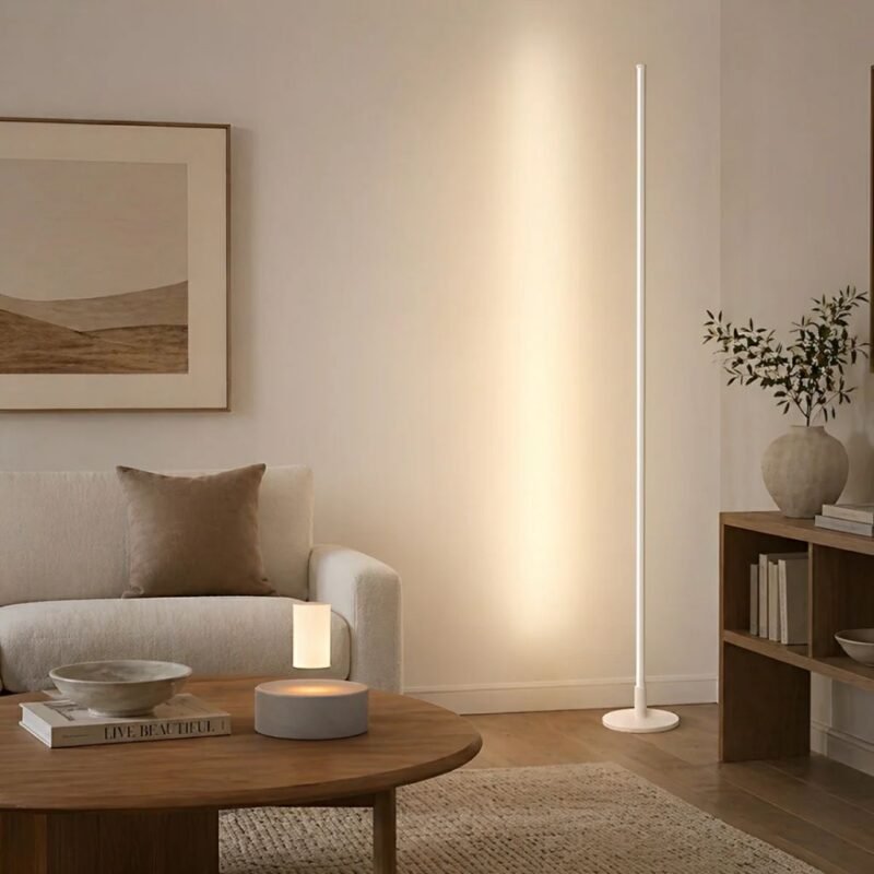 Minimalist Ultra-Thin Led Floor Lamp