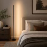 Minimalist Ultra-Thin Led Floor Lamp Black