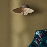 LUNA METAL MOTH WALL SCONCE
