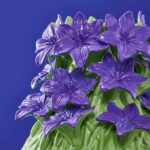VERANO VASE WITH GREEN AND PURPLE DESIGN